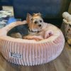 Yorkie – Linda – Kiki – Langebaan (3)