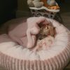 Yorkie – Linda – Kiki – Langebaan (7)