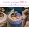 Yorkie – Linda – Kiki – Langebaan (9)