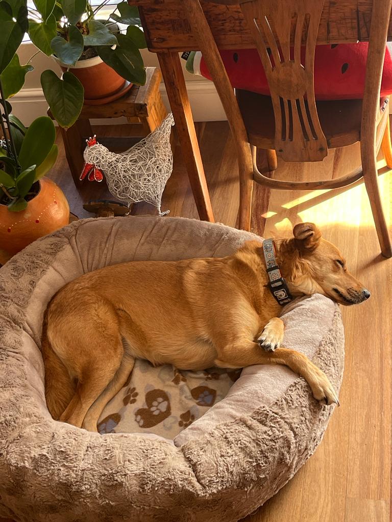 78030673-cd2a-4d2b-a8ed-d53a41961130