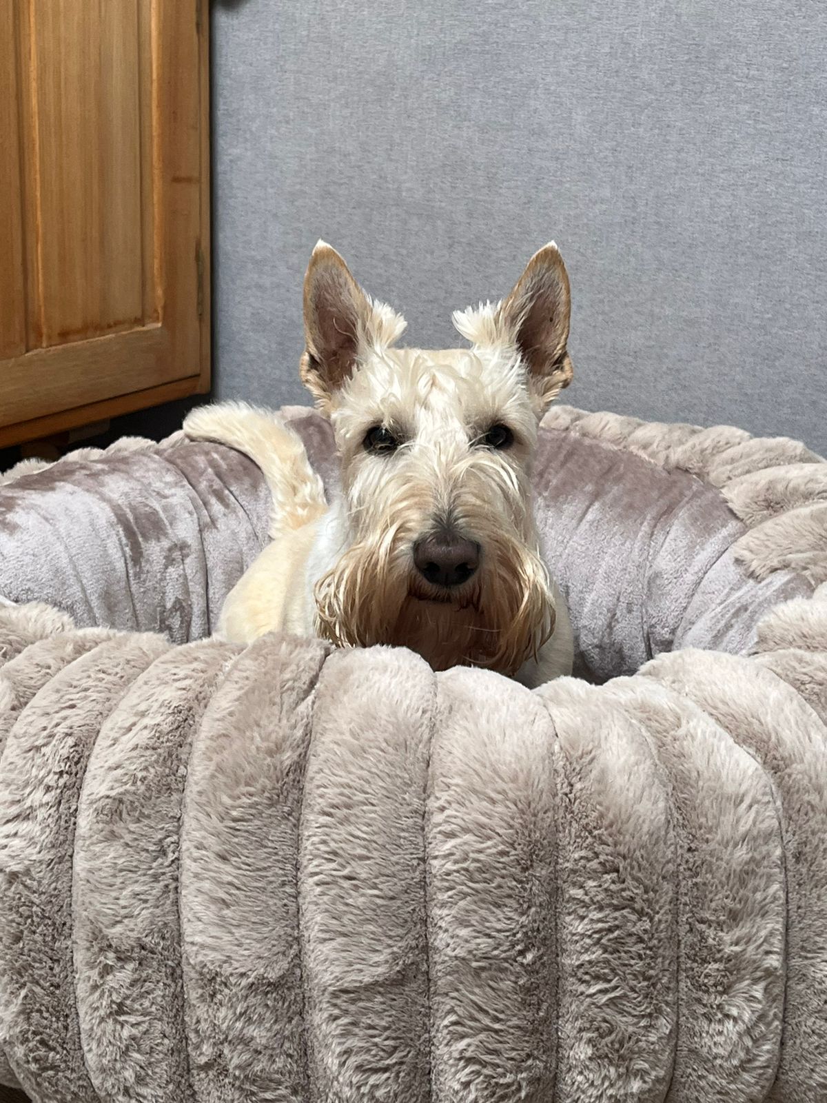 2f4e0995-1f07-4de1-9eb7-83f49242d20f