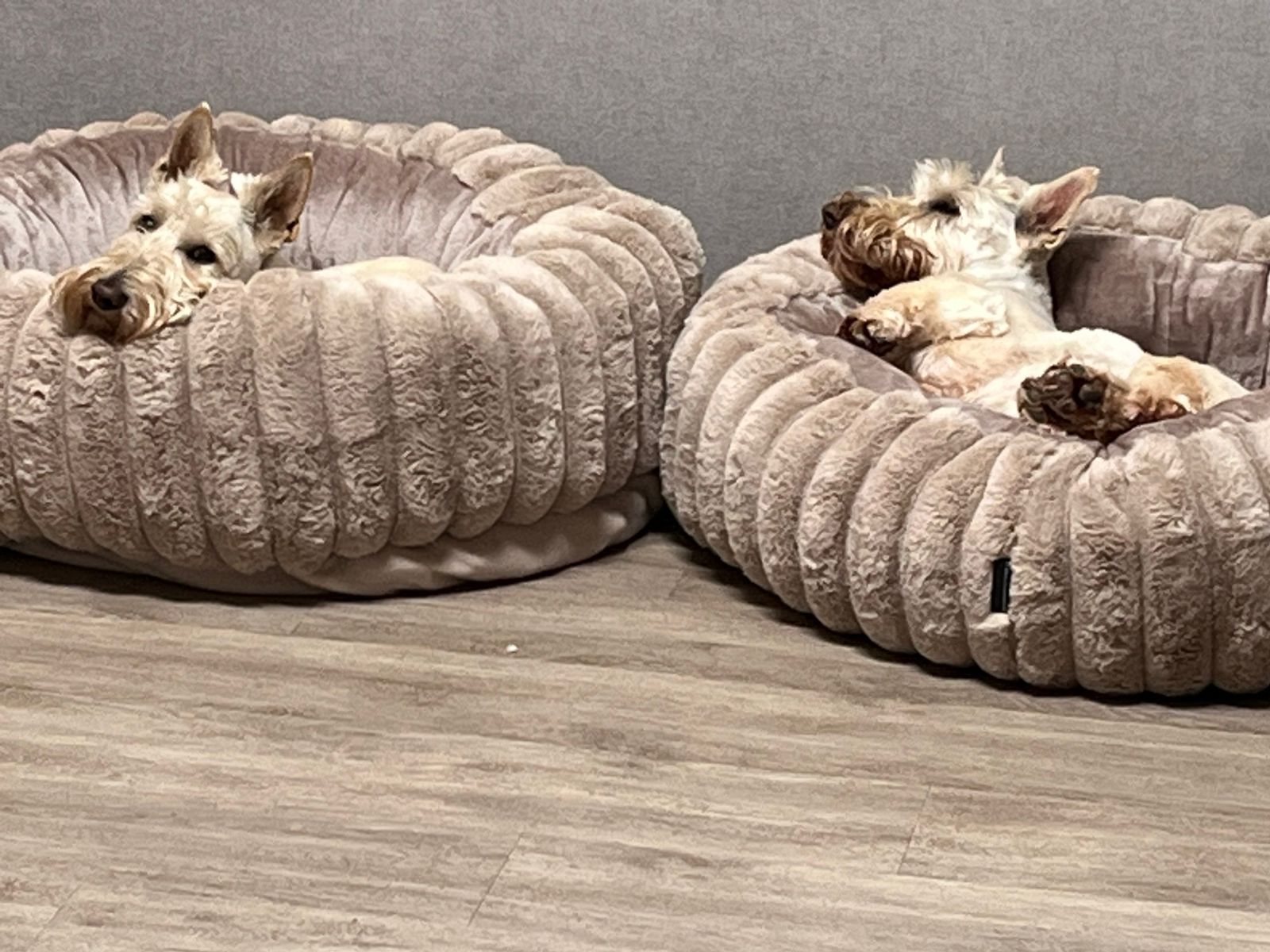 e9510c2d-b25f-40c4-b9e9-bc474aa74c59