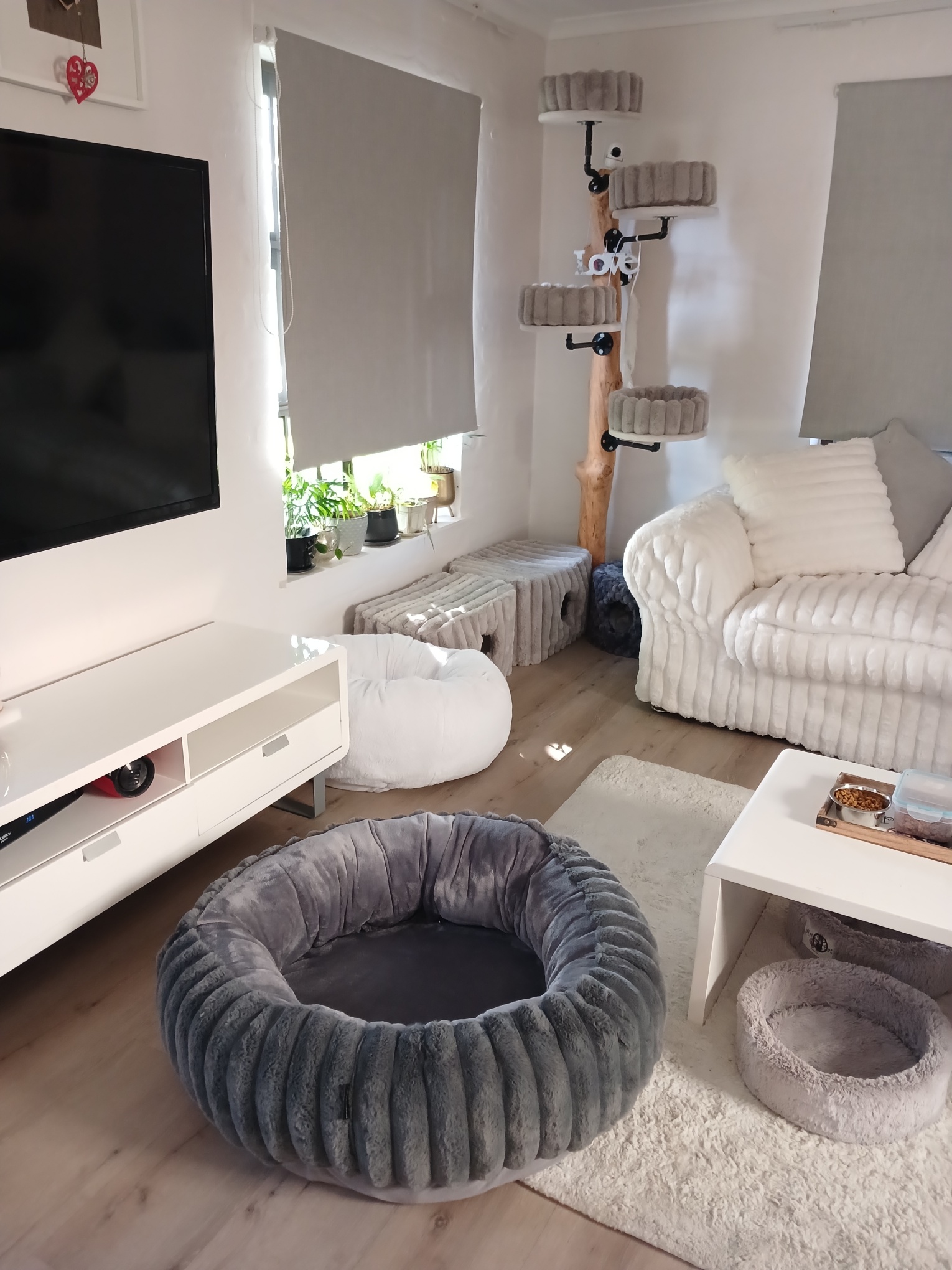 XL137 – IC 55 – OC94 – H28 (11)