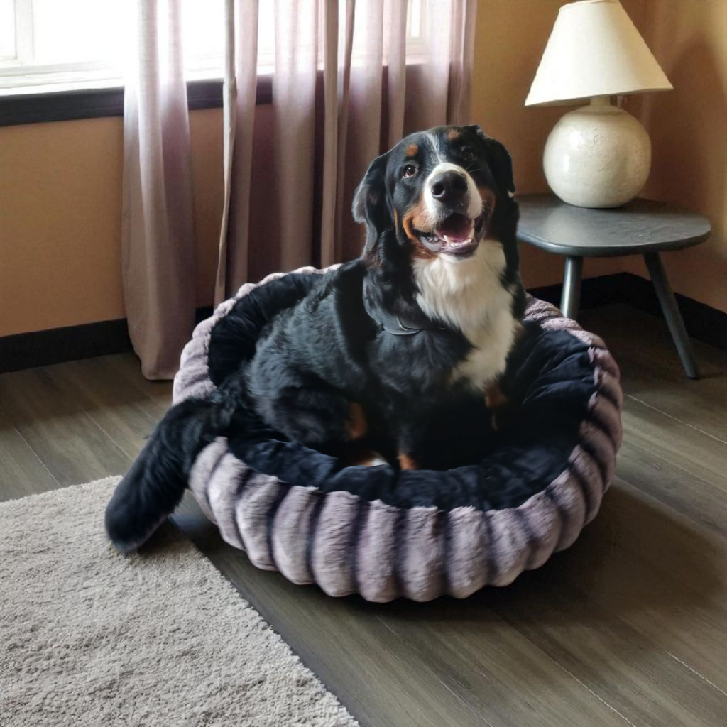 20250808_100620_resized