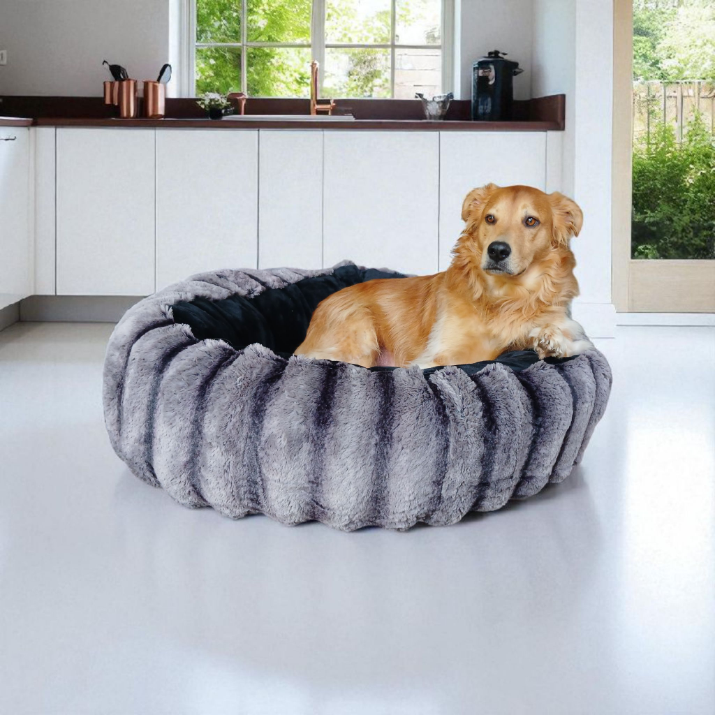 20250808_101055_resized