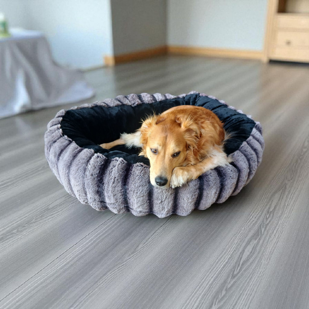 20250808_101112_resized