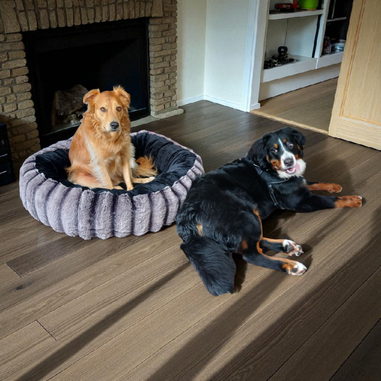 20250808_101324_resized