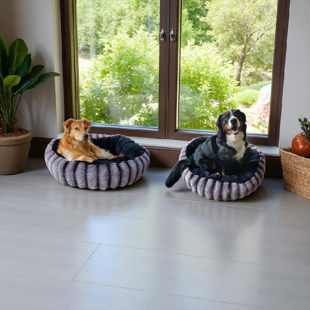 20250808_174231 (1)_resized